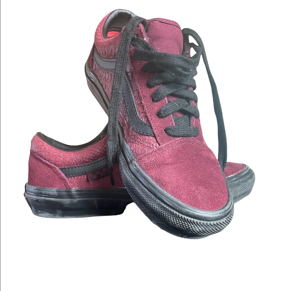 Vans Skateboarding Shoe.